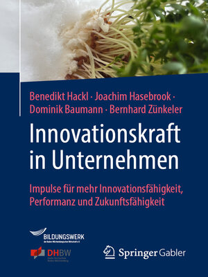 Innovationskraft in Unternehmen - ebook